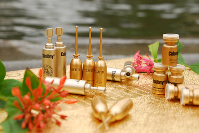 法國雨田國際(上海)雨淑緹化妝品招聘-雨淑緹|珈詩黛妮招聘-138job.com